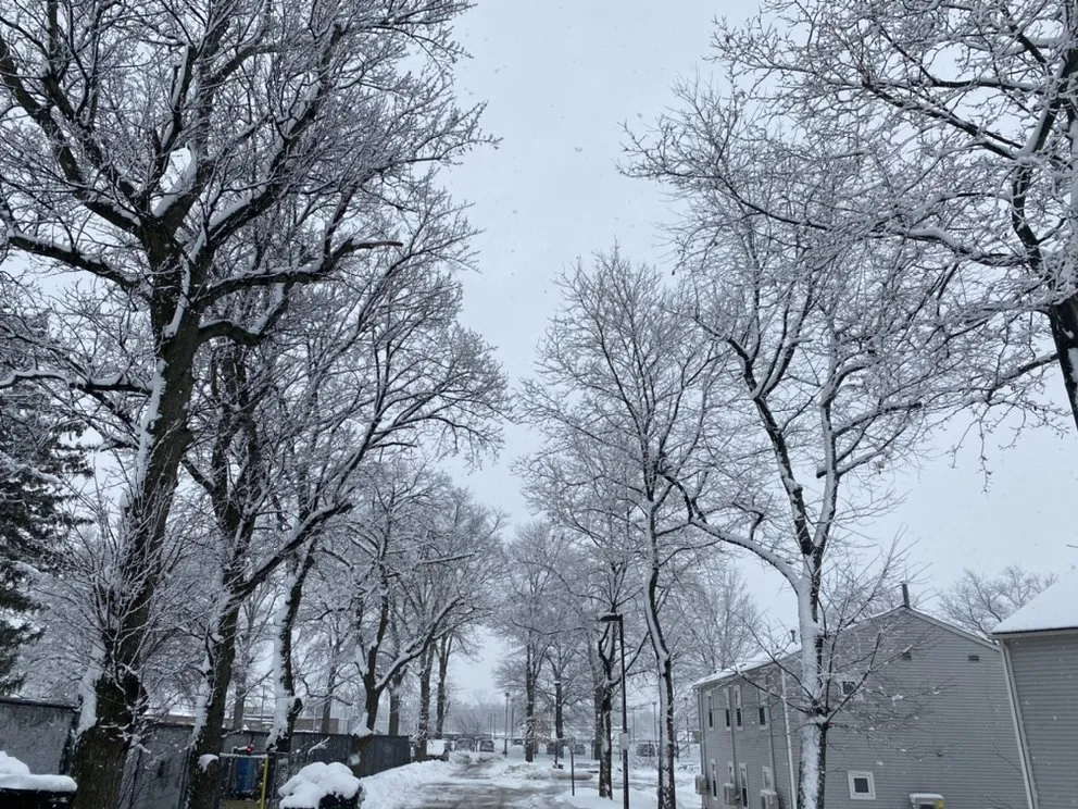 Local landscape design in South Plainfield, NJ - Ross' Lawncare