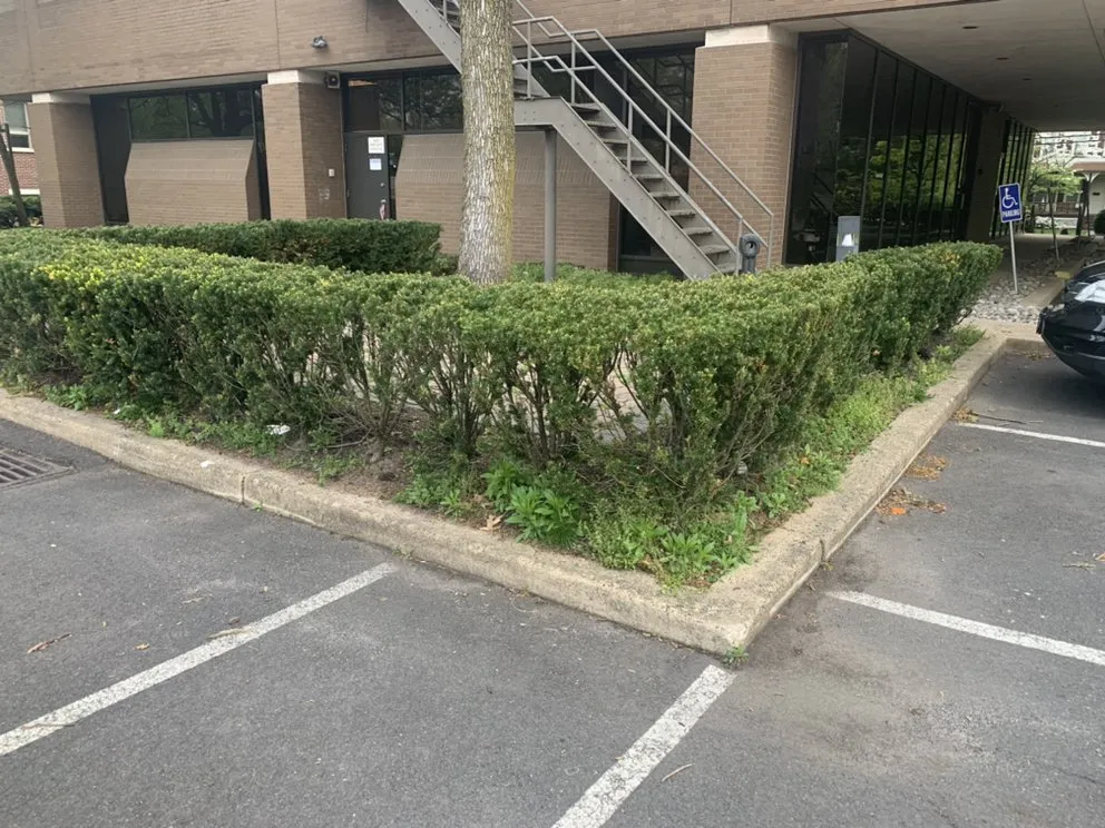 Trusted landscape installation in South Plainfield, NJ by Ross' Lawncare