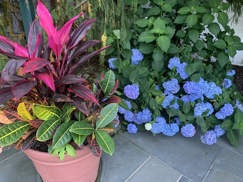 Professional yard cleanup service for homes across Rockville Centre, NY - Ross Marasco