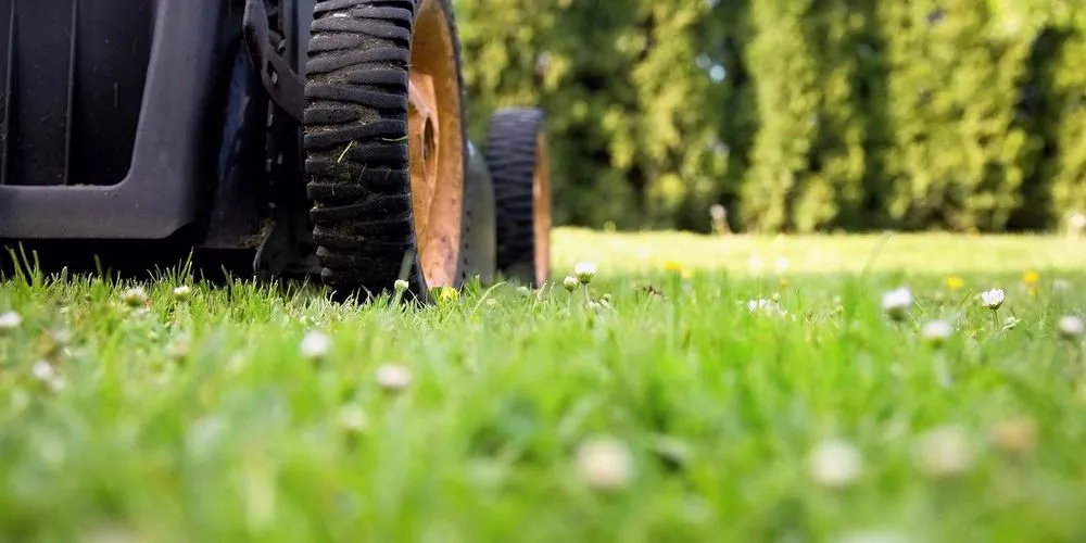 Professional landscape installation with custom design in Fort Worth, TX by Ross Mowing