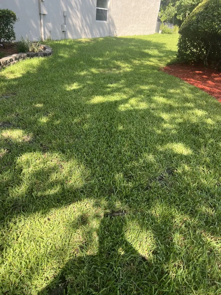 Professional yard cleanup service in Jacksonville, FL by Ross Mowing
