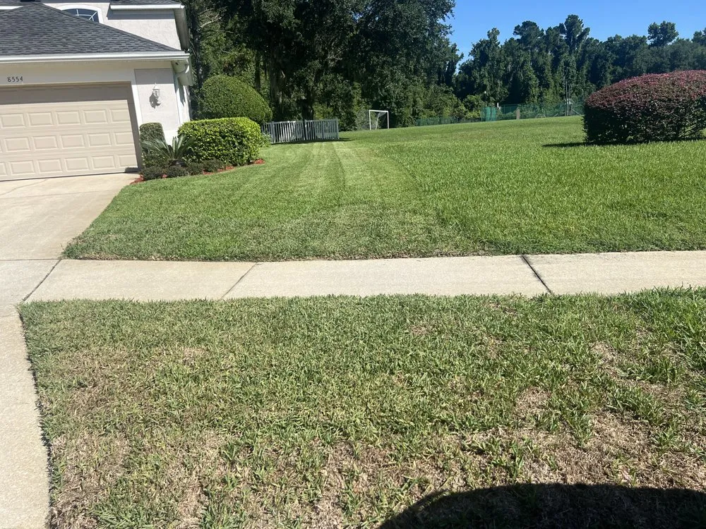 Trusted residential landscaping in Jacksonville, FL by Ross Mowing