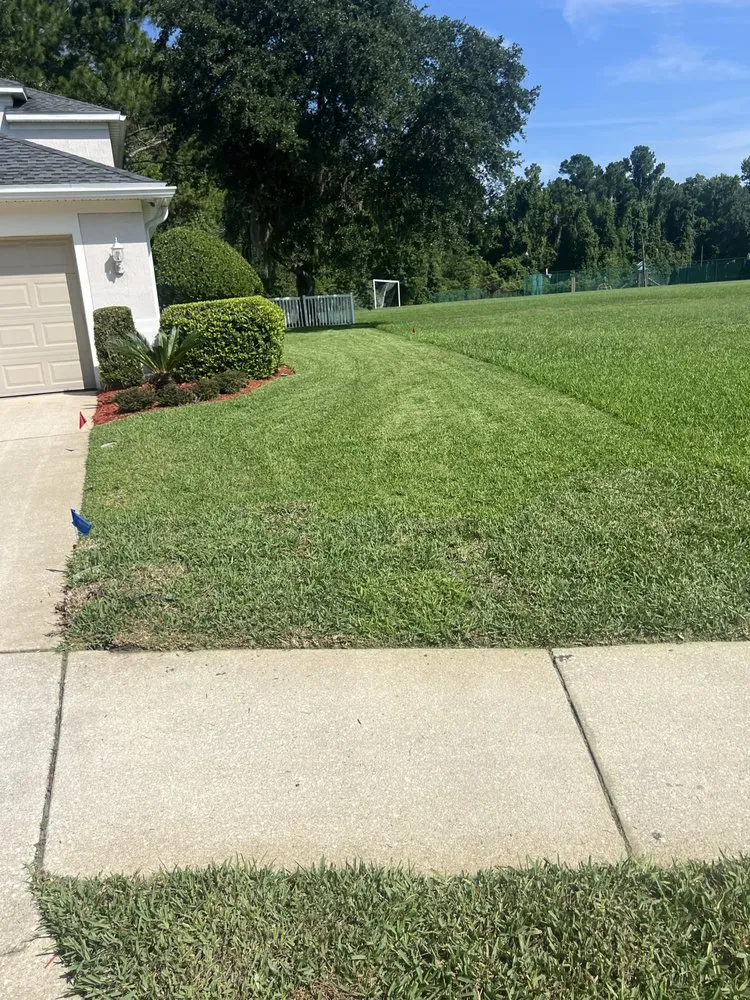 Local yard cleanup service in Jacksonville, FL by Ross Mowing