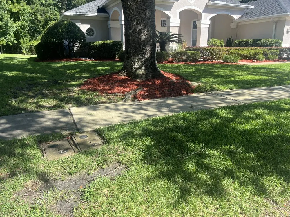 Top-rated lawn care service experts serving Jacksonville, FL - Ross Mowing