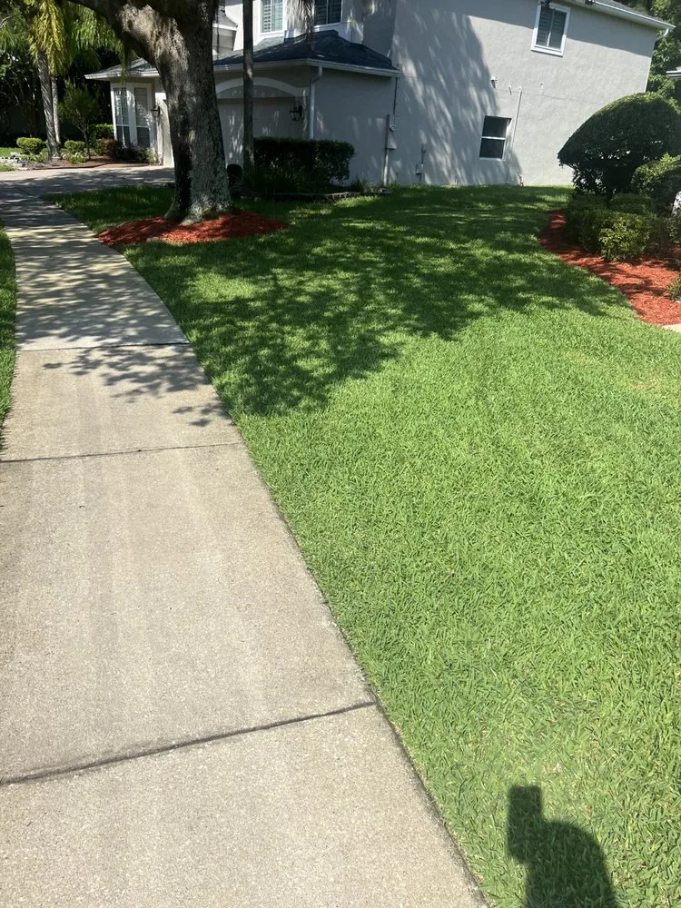 Affordable yard cleanup service in Jacksonville, FL - Ross Mowing