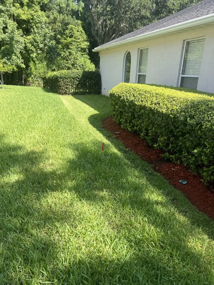 Local lawn care service experts serving Jacksonville, FL - Ross Mowing