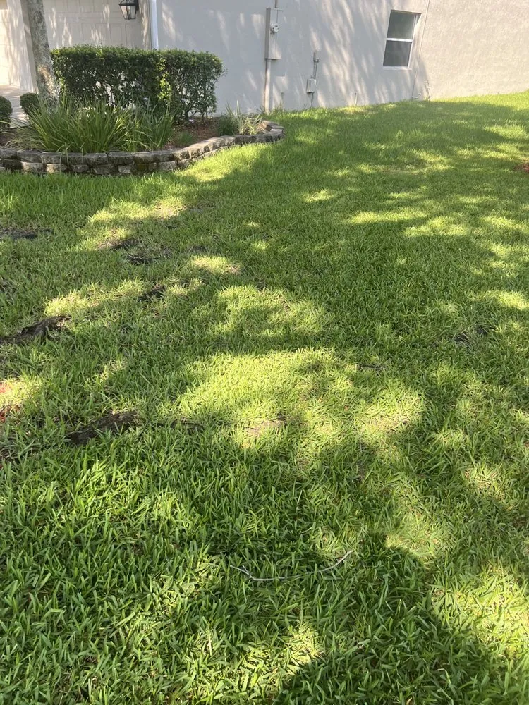 Affordable garden landscaping for outdoor upgrades in Jacksonville, FL by Ross Mowing