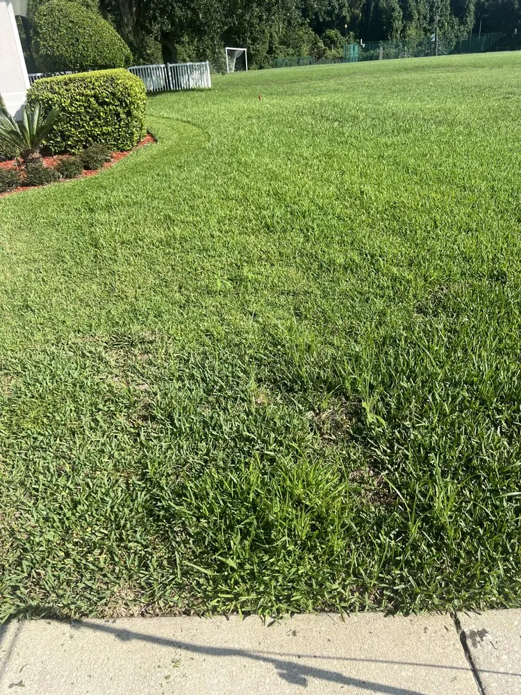 Top-rated lawn mowing service for year-round maintenance in Jacksonville, FL by Ross Mowing