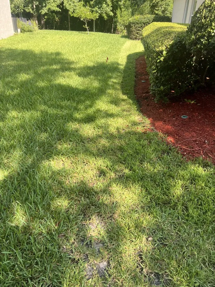 Custom yard cleanup service in Jacksonville, FL - Ross Mowing