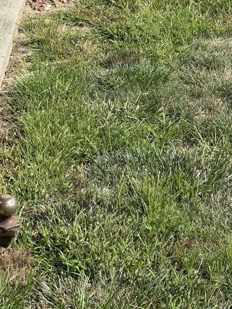 Top-rated landscape design experts serving Liberty, IN - Ross Outdoors