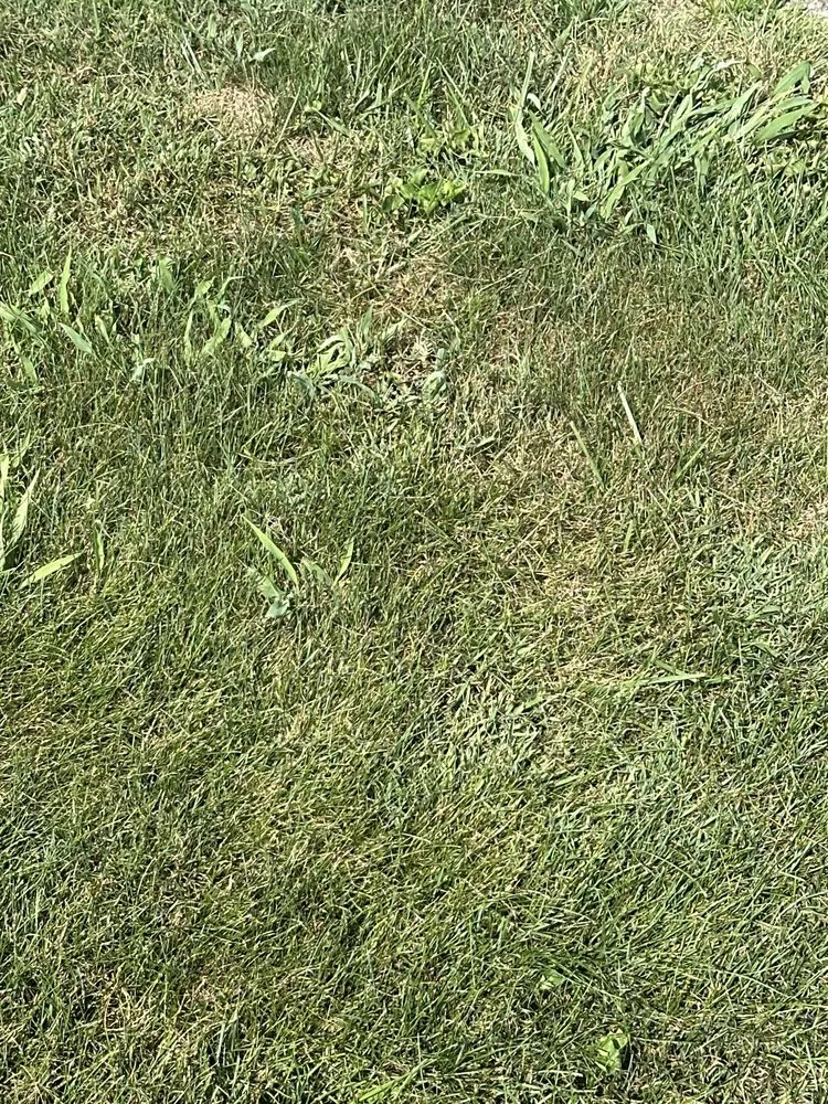 Custom landscape installation in Liberty, IN - Ross Outdoors