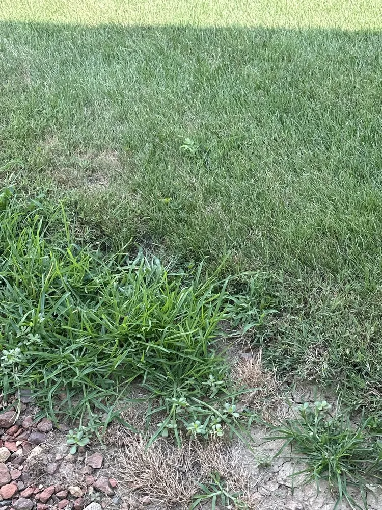 Custom garden landscaping experts serving Liberty, IN - Ross Outdoors