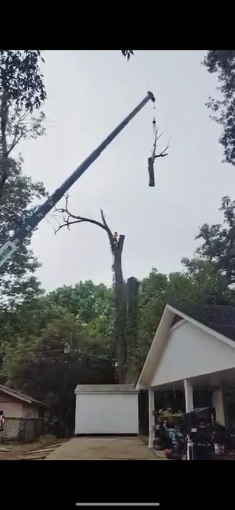 Top-rated garden landscaping near you in Indianola, MS by Ross Tree and Landscape Service