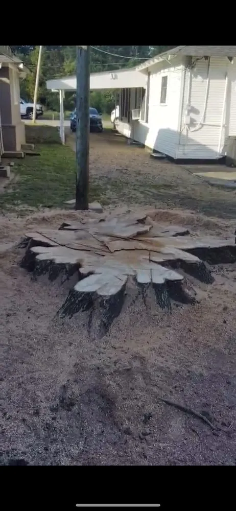 Custom landscape design for year-round maintenance across Indianola, MS - Ross Tree and Landscape Service