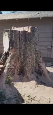 Ross Tree and Landscape Service