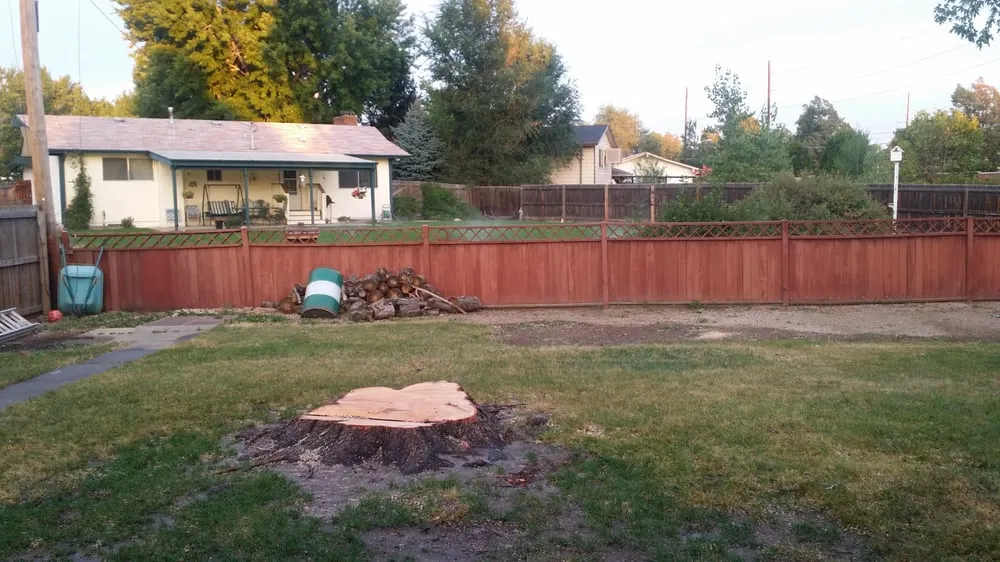 Top-rated lawn mowing service in Denver, CO - Ross Tree