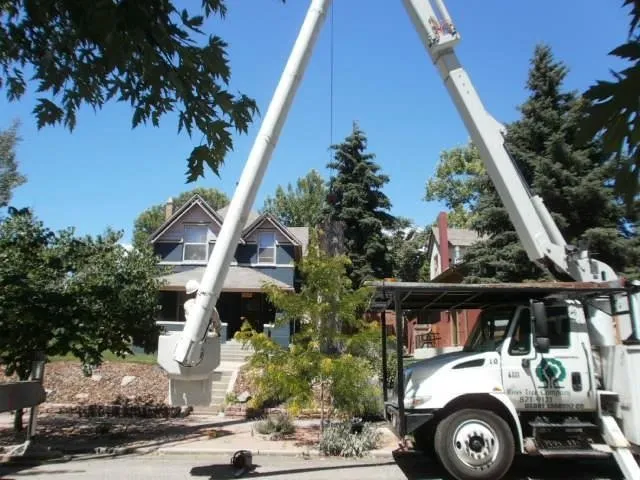 Affordable landscape installation in Denver, CO by Ross Tree