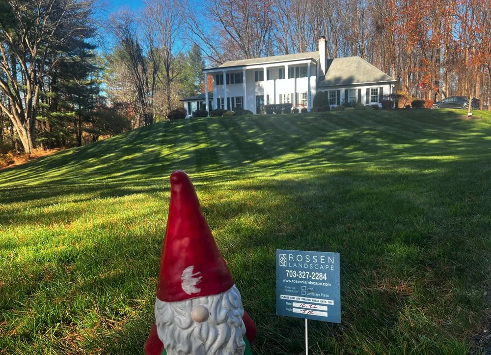 Expert lawn care service for homes across Great Falls, VA - Rossen Landscape