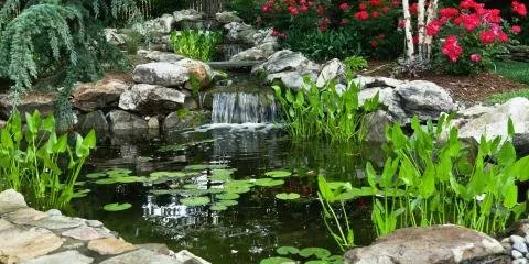 Affordable lawn care service for homes in Great Falls, VA by Rossen Landscape