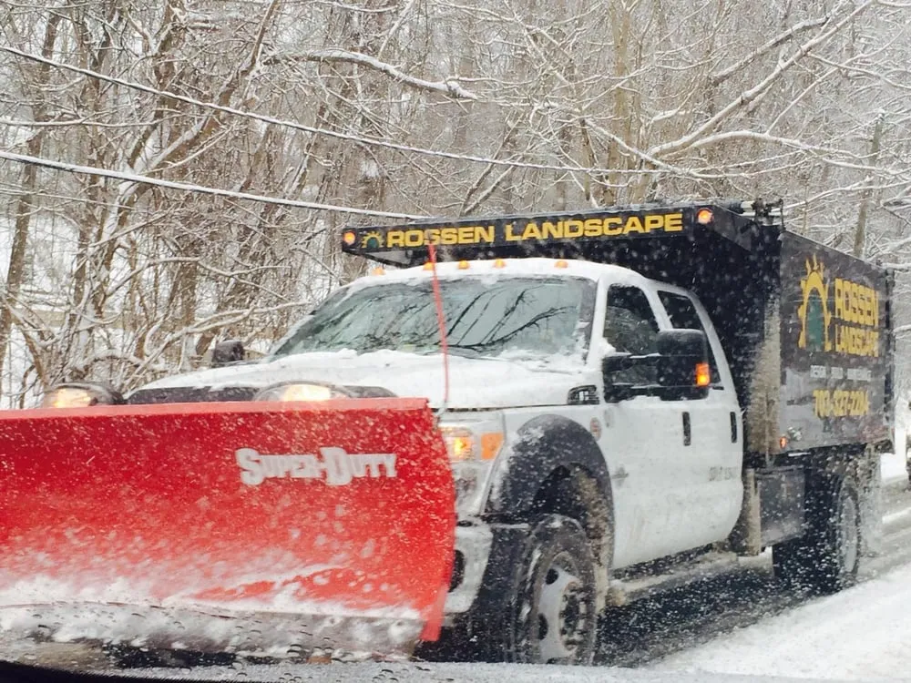 Affordable yard cleanup service in Great Falls, VA - Rossen Landscape