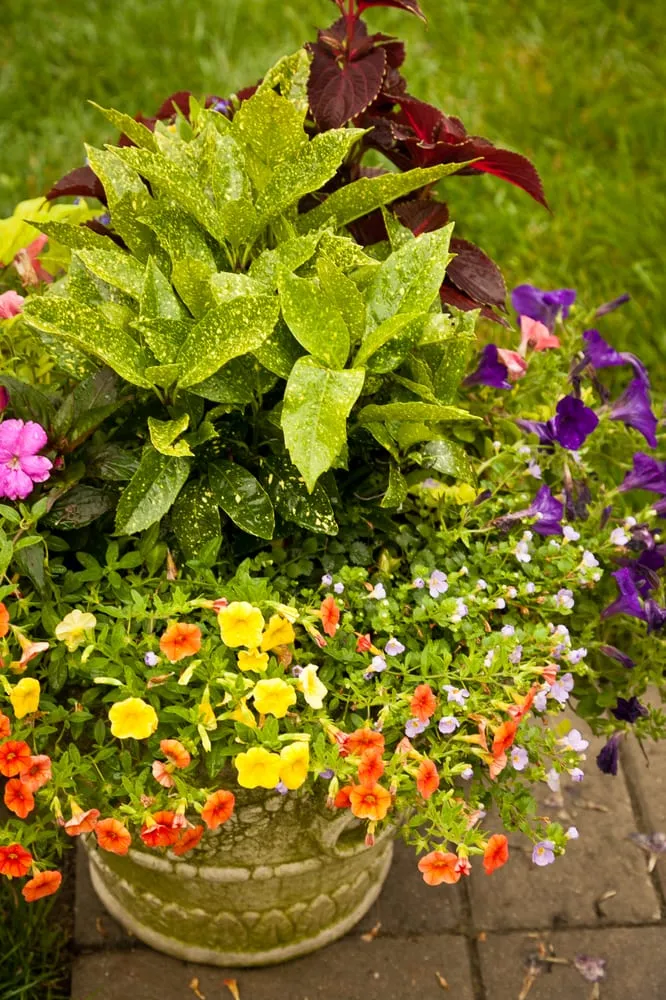 Affordable landscape installation experts serving Great Falls, VA - Rossen Landscape