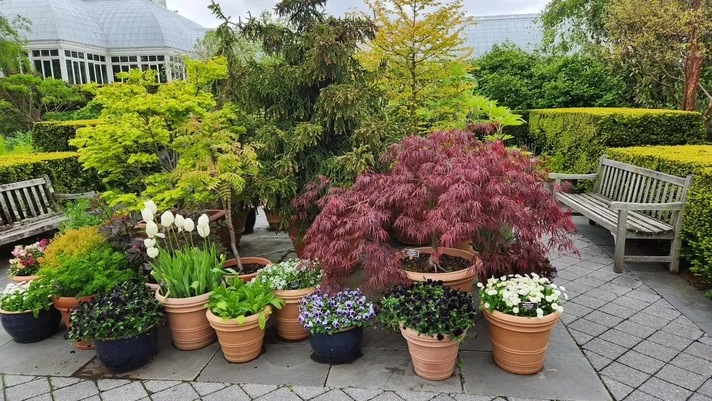 Local yard cleanup service near you across Stamford, CT - Rossi Green Works