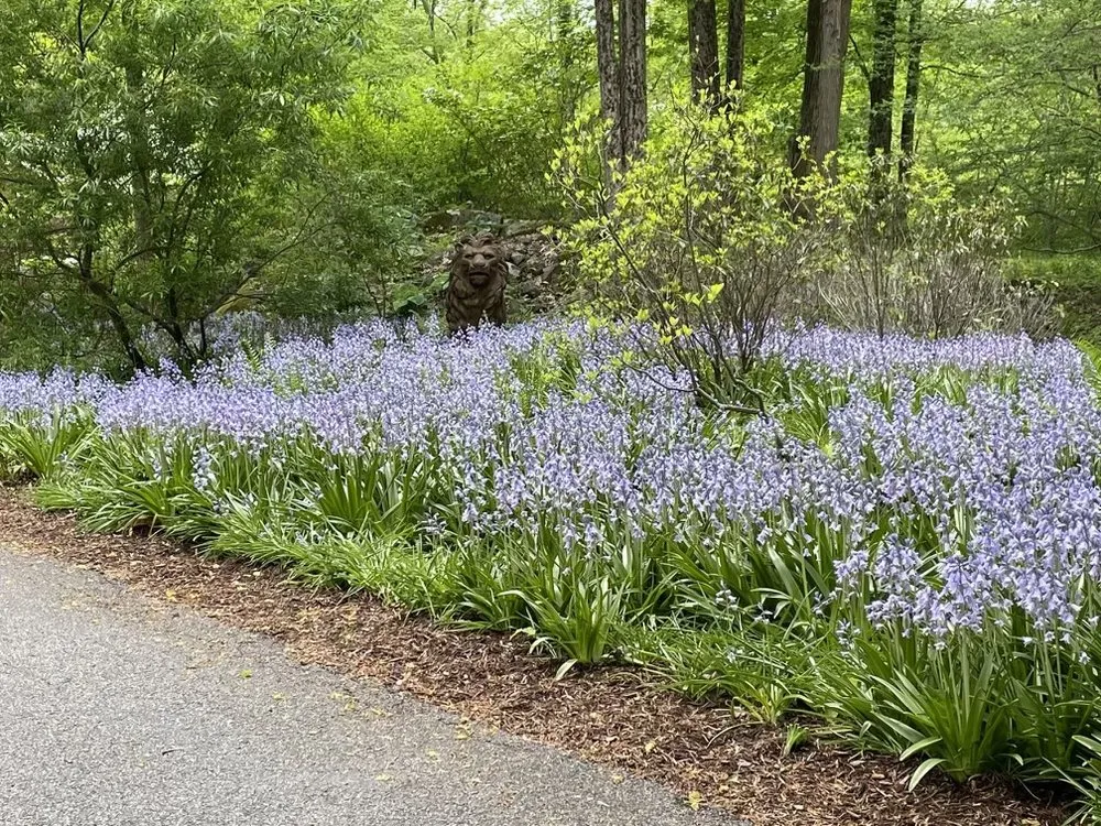 Custom garden landscaping in Stamford, CT - Rossi Green Works