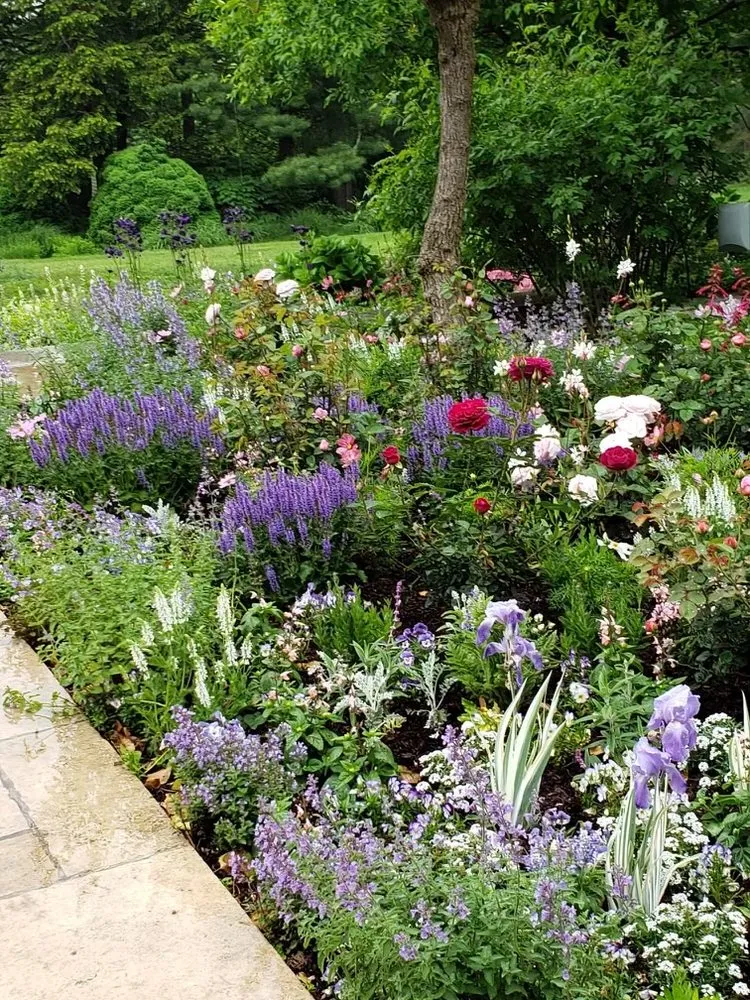 Top-rated lawn care service experts serving Stamford, CT - Rossi Green Works