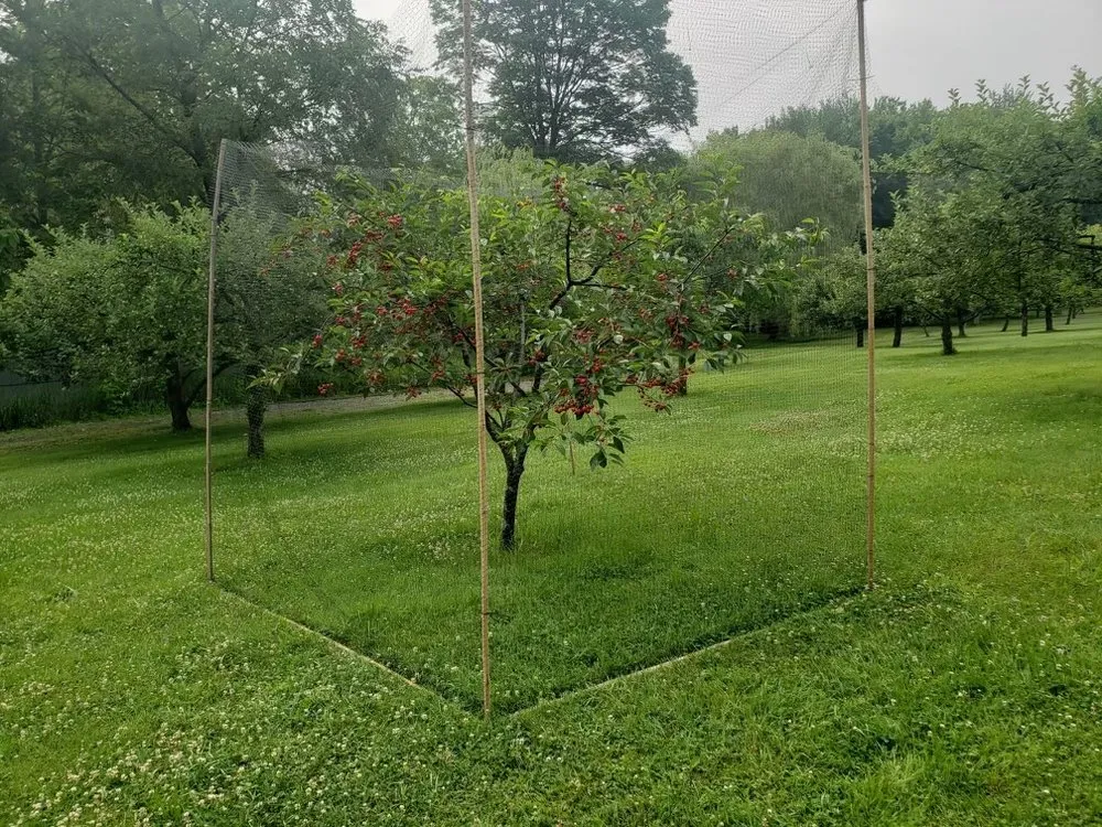 Top-rated lawn mowing service in Stamford, CT by Rossi Green Works