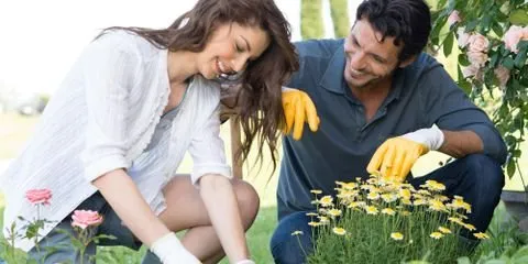 Affordable landscaping services experts serving Northfield, OH - Rossi Landscaping