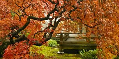 Custom yard cleanup service experts serving Northfield, OH - Rossi Landscaping