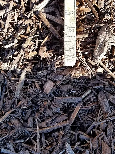 Custom landscape design in Templeton, CA - Rossi Transport Service