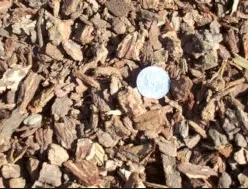 Expert garden landscaping experts serving Templeton, CA - Rossi Transport Service