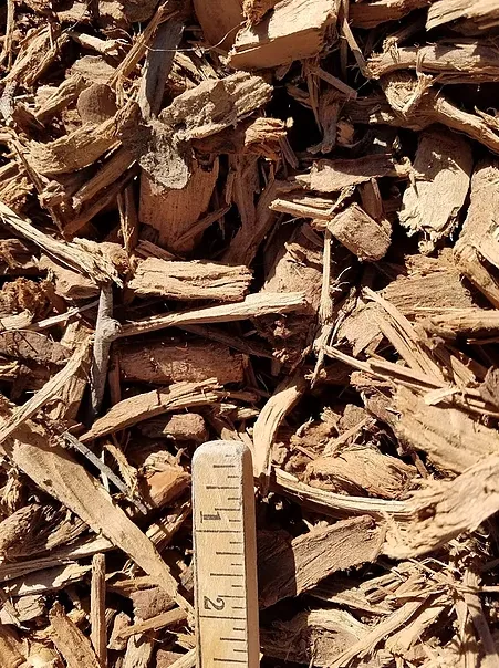 Affordable residential landscaping in Templeton, CA by Rossi Transport Service