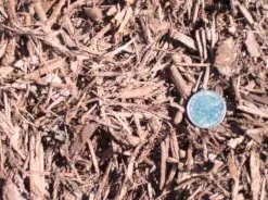 Expert landscaping services experts serving Templeton, CA - Rossi Transport Service