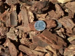 Reliable landscape installation experts serving Templeton, CA - Rossi Transport Service