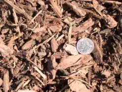 Affordable yard cleanup service with custom design in Templeton, CA by Rossi Transport Service