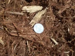 Top-rated yard cleanup service near you across Templeton, CA - Rossi Transport Service