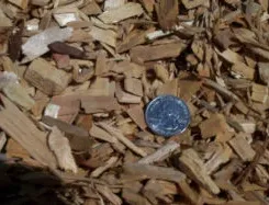 Expert landscaping services for beautiful yards in Templeton, CA by Rossi Transport Service