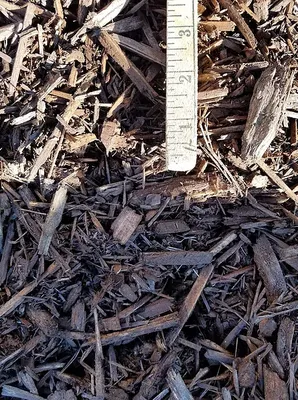 Rossi Transport Service