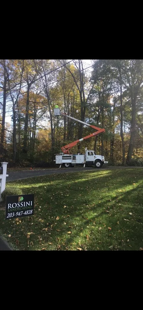 Custom residential landscaping for outdoor upgrades across Ridgefield, CT - Rossini Landscaping
