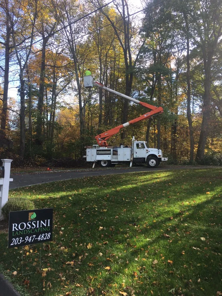 Local yard maintenance in Ridgefield, CT - Rossini Landscaping