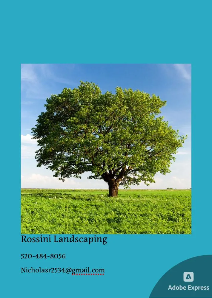 Local yard maintenance for year-round maintenance in Tucson, AZ by Rossini Landscaping