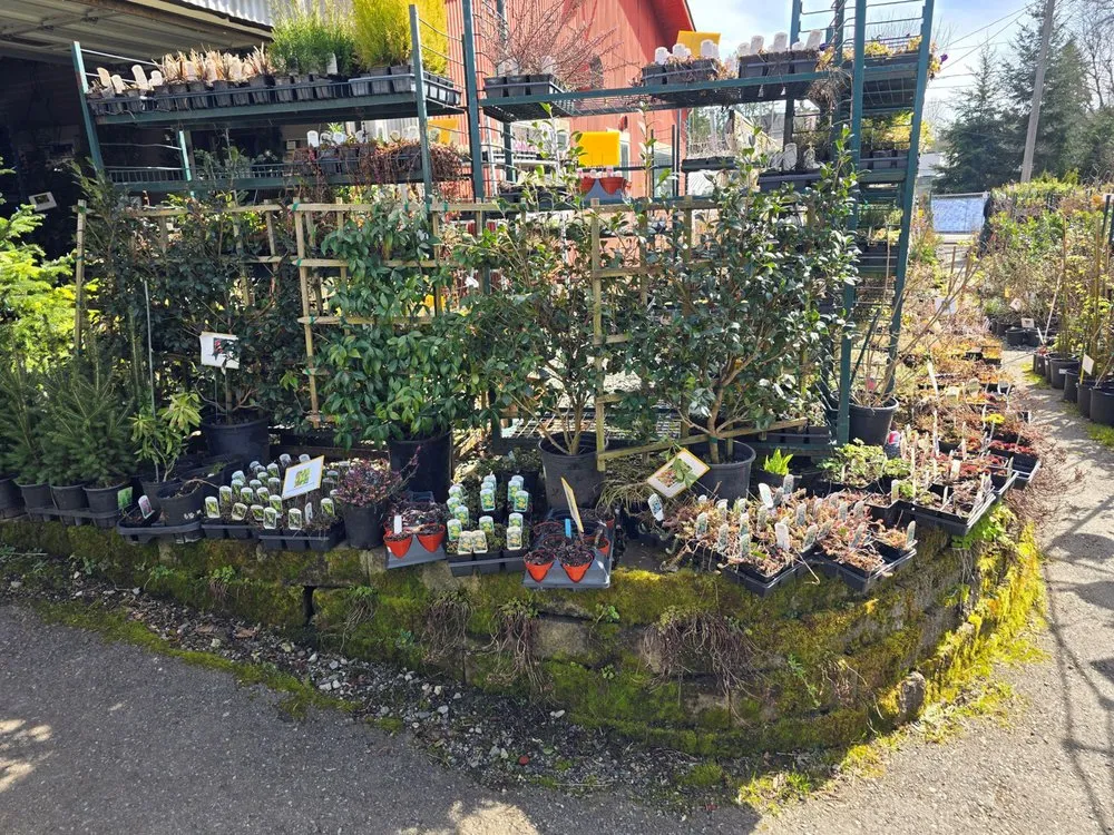 Professional garden landscaping experts serving Tukwila, WA - Rosso Gardens