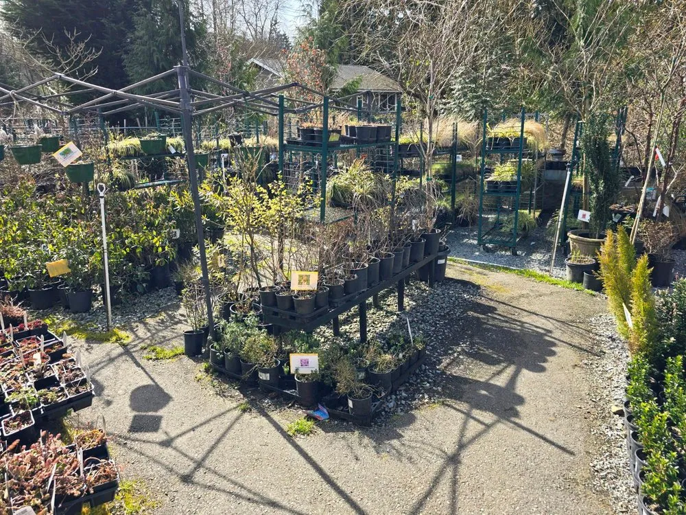 Affordable lawn care service experts serving Tukwila, WA - Rosso Gardens