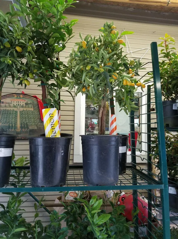 Reliable residential landscaping for residential properties in Tukwila, WA by Rosso Gardens