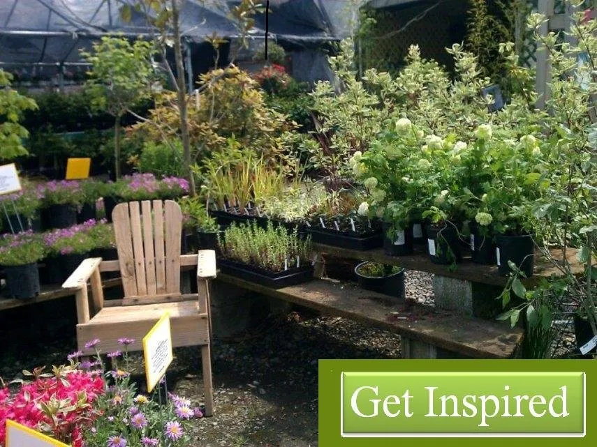 Top-rated garden landscaping in Tukwila, WA by Rosso Gardens