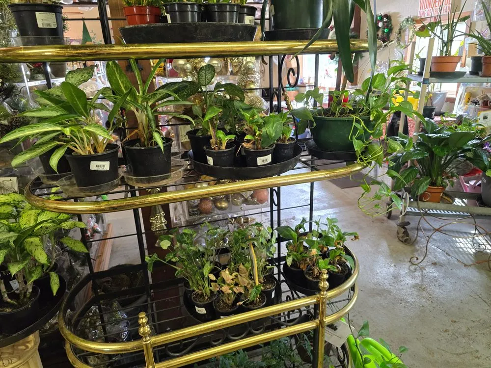 Trusted yard maintenance experts serving Tukwila, WA - Rosso Gardens