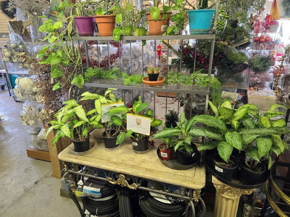 Affordable landscape installation for outdoor upgrades in Tukwila, WA by Rosso Gardens