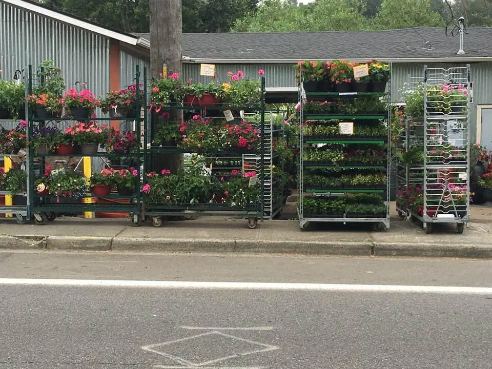 Reliable yard maintenance experts serving Tukwila, WA - Rosso Gardens